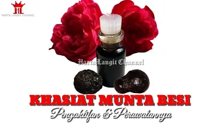 Khasiat Munta Besi Serta Cara Pengaktifan & Perawatannya