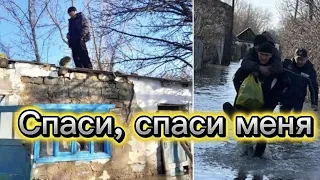 "Спаси, спаси меня" Весенний паводок в Казахстане