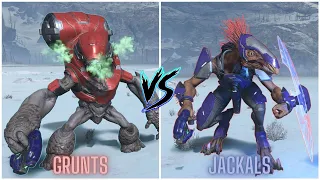 Halo Infinite - Grunts VS Jackals (Forge AI Battle)