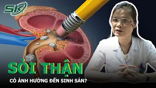 Bị Sỏi Thận Có Thể Sẽ Vô Sinh? Nguyên Nhân, Triệu Chứng, Chẩn Đoán Và Cách Điều Trị | SKĐS