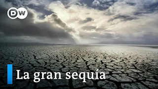 Escasez de agua y embalses vacíos - La gran sequía | DW Documental