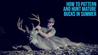 How to Pattern and Hunt Mature Bucks in Late Summer