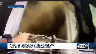 Winchester police officer saves cat from burning home