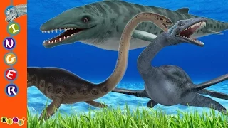 3D Dinosaur Sea Animation Finger Family Nursery Rhymes By KidsW