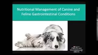 Nutritional Management of Canine and Feline Gastrointestinal Conditions