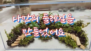 나만의 둘레길을 만들어볼까#테라리움 #terrarium