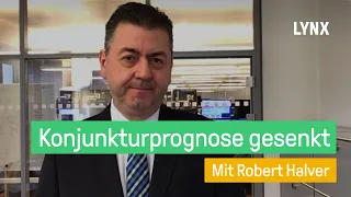 BIP-Prognose: Pandemie hat Wirtschaft weiter im Griff - Interview mit Robert Halver | LYNX