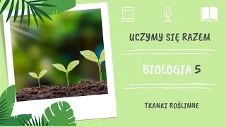 Biologia klasa 5. Tkanki roślinne. Uczymy się razem