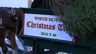 First Lady receives White House Christmas tree