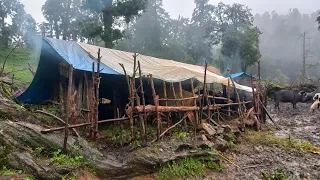 Most Peaceful & Relaxing Mountain Village Life | Rainy Day in Viilage | Organic Village Food |