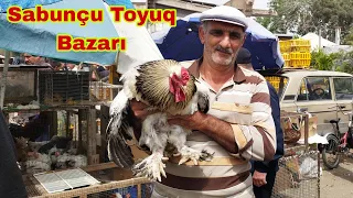 Sabunçu Toyuq Bazarı 0557848534 050 798 11 33  051 699 11 66