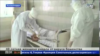 В Кызылорде от вируса бешенства умерла 40-летняя женщина