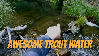Fishing for trout, Small Clear mountain stream in Victoria.