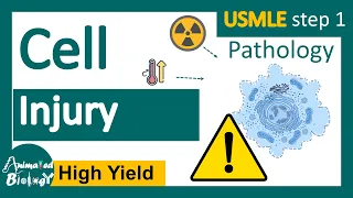 Cell Injury | Reversible vs Irreversible cell injury | General Pathology Animated USMLE  step1
