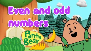 Even and Odd Numbers | Maths for kids | Educational Video #PantsBear