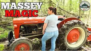 Vintage Tractor, Chainsaws, & Hard Work! Ash Firewood Saved!