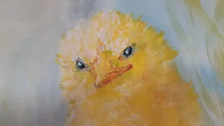Малюю курча 🎨 CALGARY,  CANADA