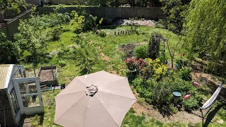 Our backyard garden mid May