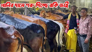 ৬০ হাজার বাজেটের গরু গাবতলী হাট থেকে দিচ্ছে রকি ভাই | গাবতলী গরুর হাট ২০২৪  #কমবাজেটেগরু