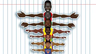 The best NBA player at every Wingspan! (NBA Comparison Animation)