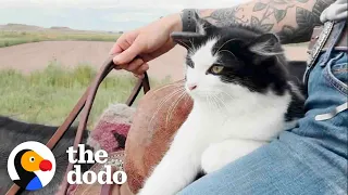 Cat Insists On Horseback Riding With Mom | The Dodo