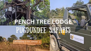 Pench Tree Lodge | Pugdundee Safaris | Pench National Park | Tiger Safari In India | The Tiny Taster
