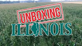 Unboxing Illinois: What It's Like Living In Illinois