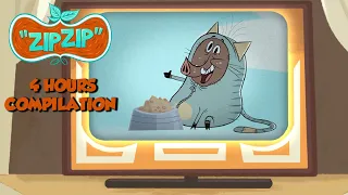 Sam is a TV star | Zip Zip English | Full Episodes | 4H | S2 | Cartoon for kids