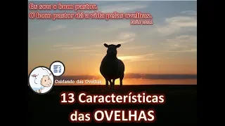 13 CARACTERÍSTICAS DAS OVELHAS