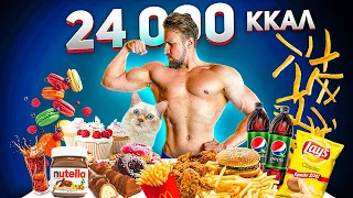 24 000 калорий за 24 ЧАСА | 24 000 calorie CHALLENGE