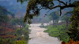 ЭКВАТОРИАЛЬНАЯ ГВИНЕЯ. АФРИКА. Жизнь людей в джунглях Африки/ AFRICA. EQUATORIAL GUINEA