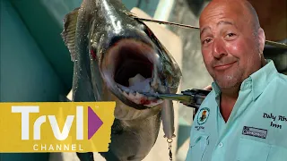 Hooking Piranhas Along the Suriname River | Bizarre Foods with Andrew Zimmern | Travel Channel