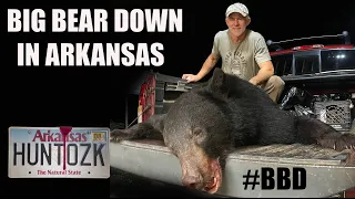 Arkansas Black Bear Hunt 2023