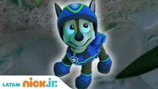 PAW Patrol, patrulla de cachorros | 🐾 Lo Mejor de Chase 🐾 | Nick Jr. en Español