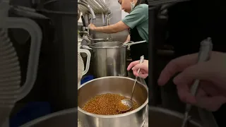 A DAY IN THE LIFE AS A TEA BARISTA