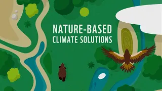 Nature-based climate solutions