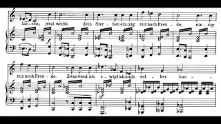 Der Zwerg  (F. Schubert) Score Animation