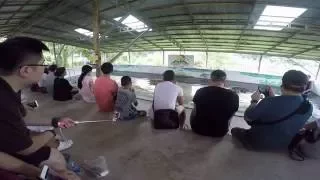 Guy puts his head in a crocodile's mouth
