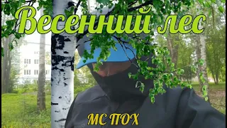 Весенний лес - МС Пох (fanclip)