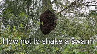 How Not To Shake a Swarm 3-21-2024