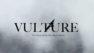 VULTURE : The Story of the Bearded Vulture