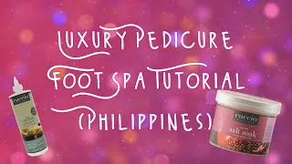 Luxury Foot Spa & Pedicure [Step by Step Version]