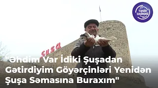 "Əhdim Var İdiki Şuşadan Gətirdiyim Göyərçinləri Yenidən Şuşa Səmasına Buraxım"