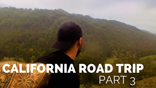 California road trip Travel Vlog - Highway 1 - Big Sur - Sequoia National Park  (ft Alan Watts)