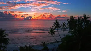 Beach sunset  Video Clip 001 || free to use no copyright