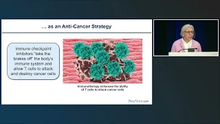 Nursing Strategies for RCC: Optimizing Outcomes With Novel Targeted and Immune-Based Therapies
