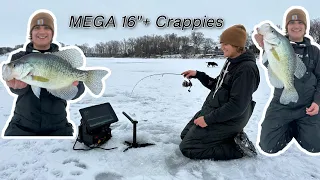 Early Ice Fishing GIANT Crappies On A New Lake (MULTIPLE 16”+ New PB)