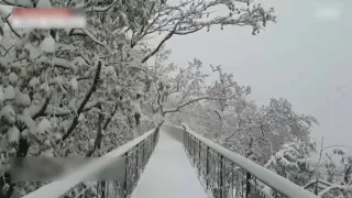 Мощный снегопад обрушился на южнокорейскую провинцию Канвондо