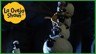 La Oveja Shaun 🐑 pila de ovejas 🐑 Dibujos animados para niños