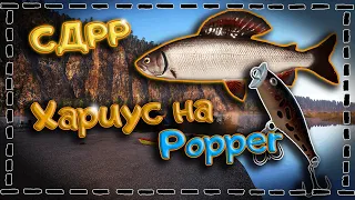 Пробуй топвотеры на Белой / Со дна Русской рыбалки. ( Русская рыбалка 4 )